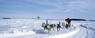 Actividades de Invierno