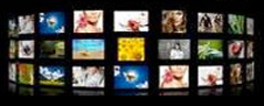 Galerie d'images