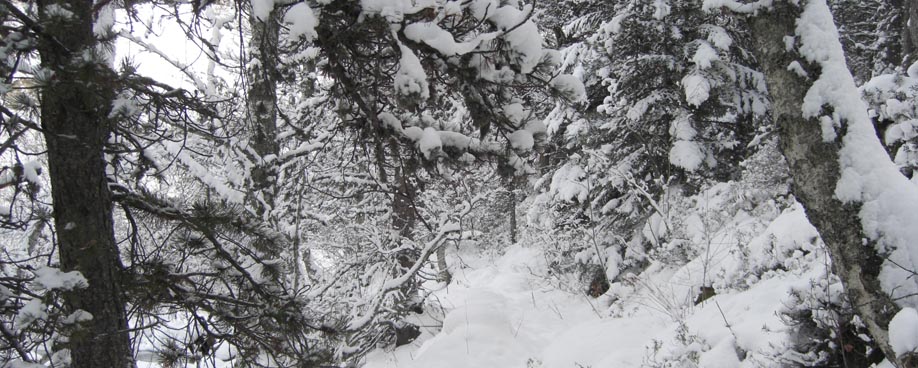 QU&Eacute; HACER - Naturaleza &middot; Sport Hotels Andorra