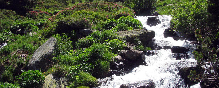 QU&Eacute; HACER - Actividades de verano &middot; Sport Hotels Andorra