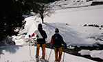 Excursiones para toda la familia con raquetas de nieve